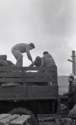 Овощебаза в Солнцево 