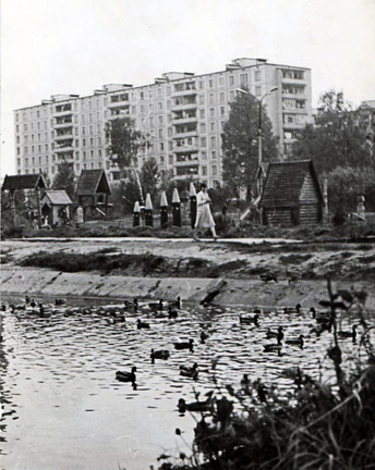 Пруд в поселке Западный на Родниковой