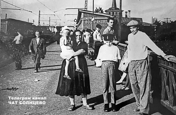 Станция Востряково