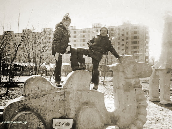 Солнцевские верблюды