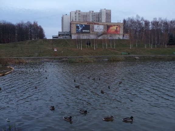 Кинотеатр Солнцево. 2011 год