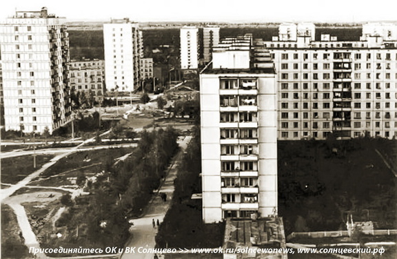 Полтинник