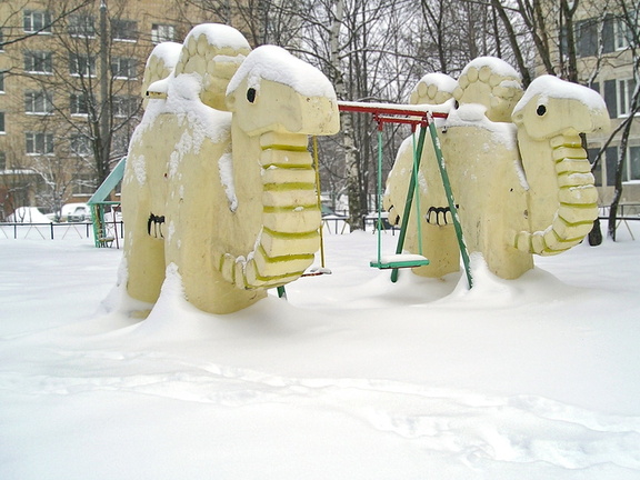 Верблюды