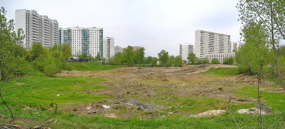 Малый Солнцевский пруд, май 2006