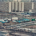 Передвижной зоопарк в Солнцево