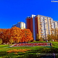 Клумба Солнцево