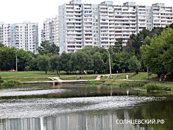 Большой Солнцевский пруд до собянинских благоустройств.
