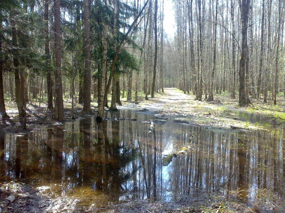 Парк Мещерский