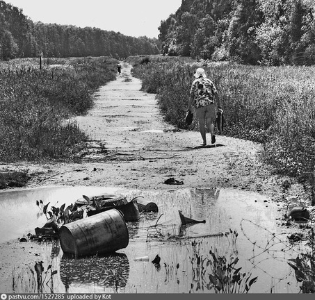 Мещерский лес и остатки дороги Солнцево - Баковка, проложенной в начале 70-х