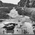 Мещерский лес и остатки дороги Солнцево - Баковка, проложенной в начале 70-х