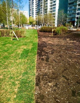 Газон возле метро "Солнцево",