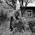 Взгляните на снимок Якова Туркова, запечатлённого у своей усадьбы по адресу: улица 1-я Зелёная, дом 3. 