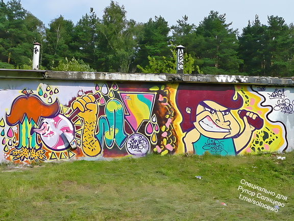 Граффити в Солнцево на гаражах вдоль железной дорогт между станциями Солнечная и Востряково 2008 год