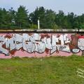 Граффити в Солнцево на гаражах вдоль железной дорогт между станциями Солнечная и Востряково 2008 год
