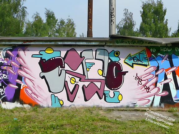 Граффити в Солнцево на гаражах вдоль железной дорогт между станциями Солнечная и Востряково 2008 год