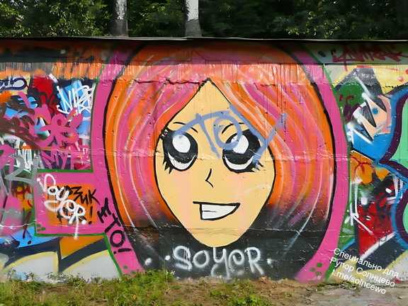 Граффити в Солнцево на гаражах вдоль железной дорогт между станциями Солнечная и Востряково 2008 год