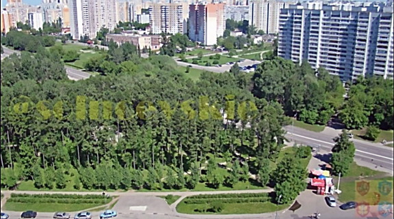 Сквер у большого пруда 2011 год