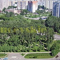 Сквер у большого пруда 2011 год