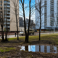 Солнцево улица Щорса