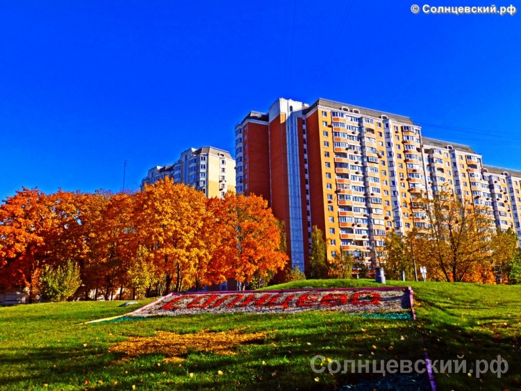 52025-3c0a4-110241478-m750x740-uefcb3.jpg